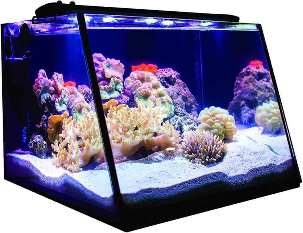 Aquarium with LED Light, Heater, Net, Algae Magnet