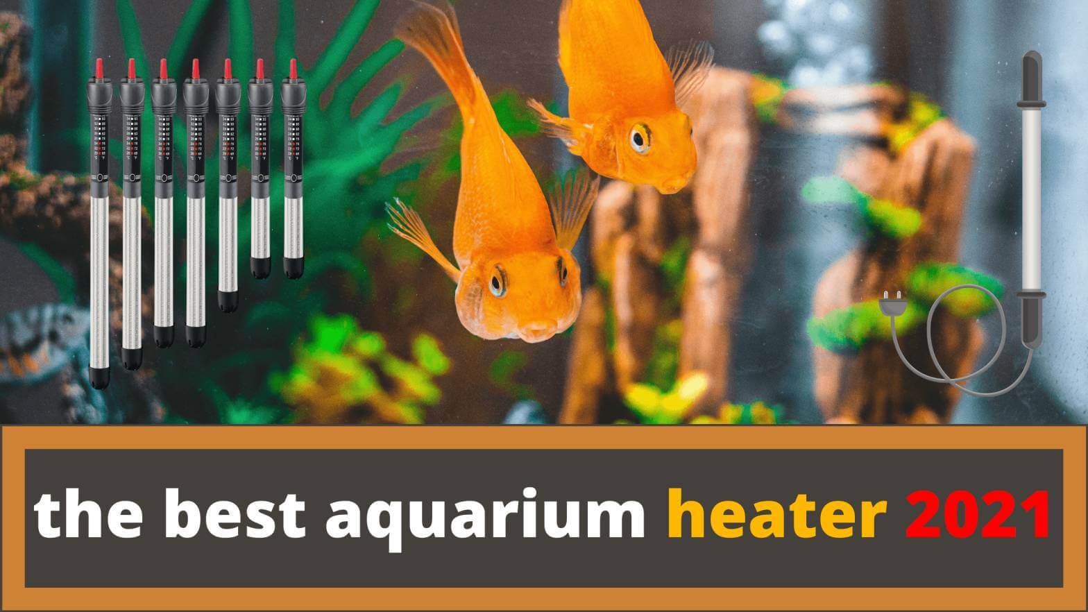 aquarium heater review