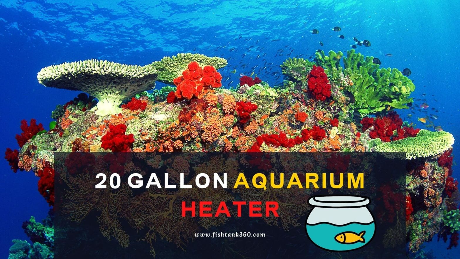 20 gallon aquarium heater