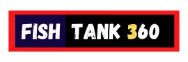 fish tank 360