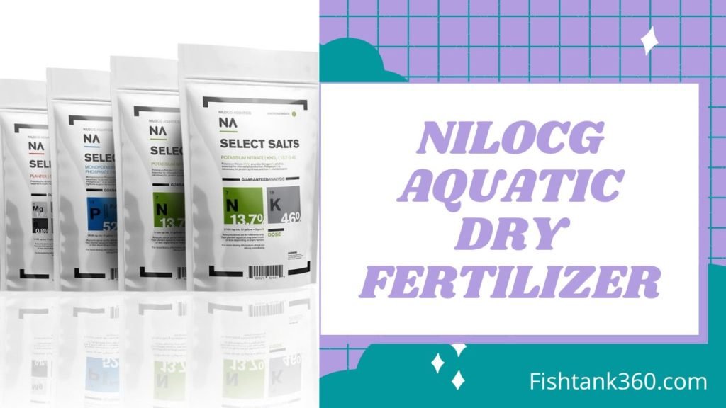 NilocG Aquatic