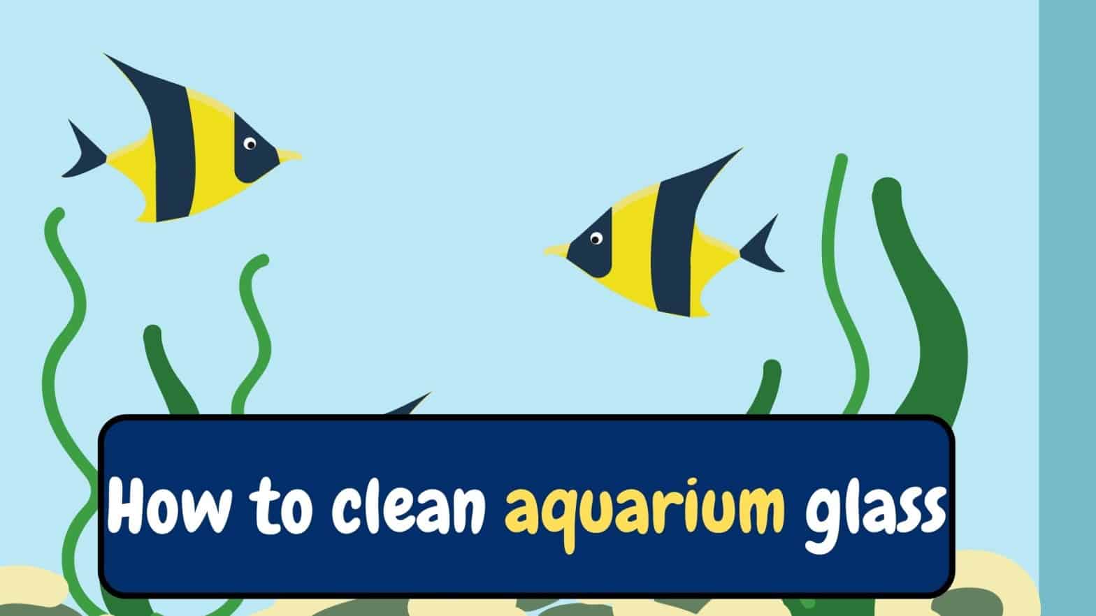 how to clean aquarium glass.